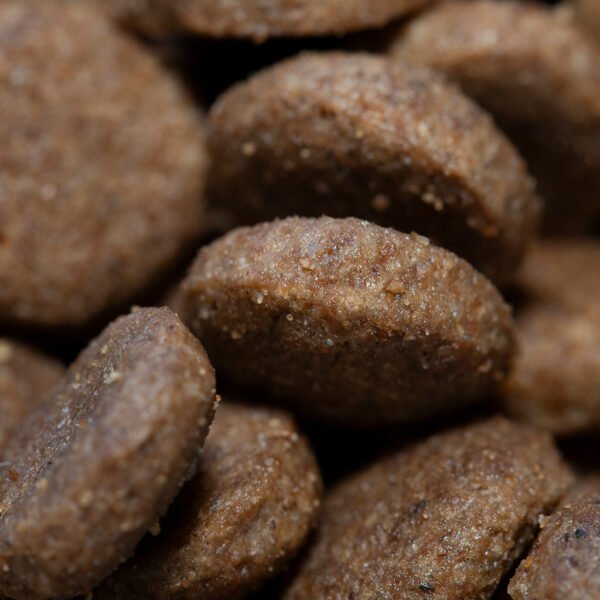 Puro-Croc-Puppy-Large-Breed-26-14 -close-up